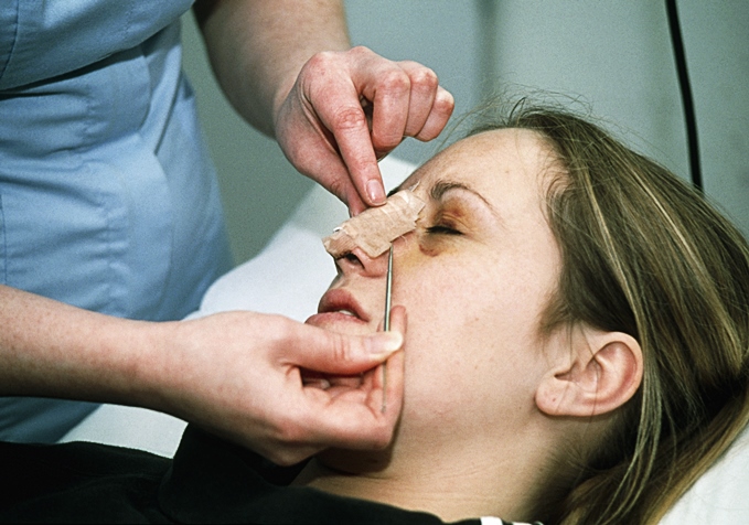 Function of the Nose